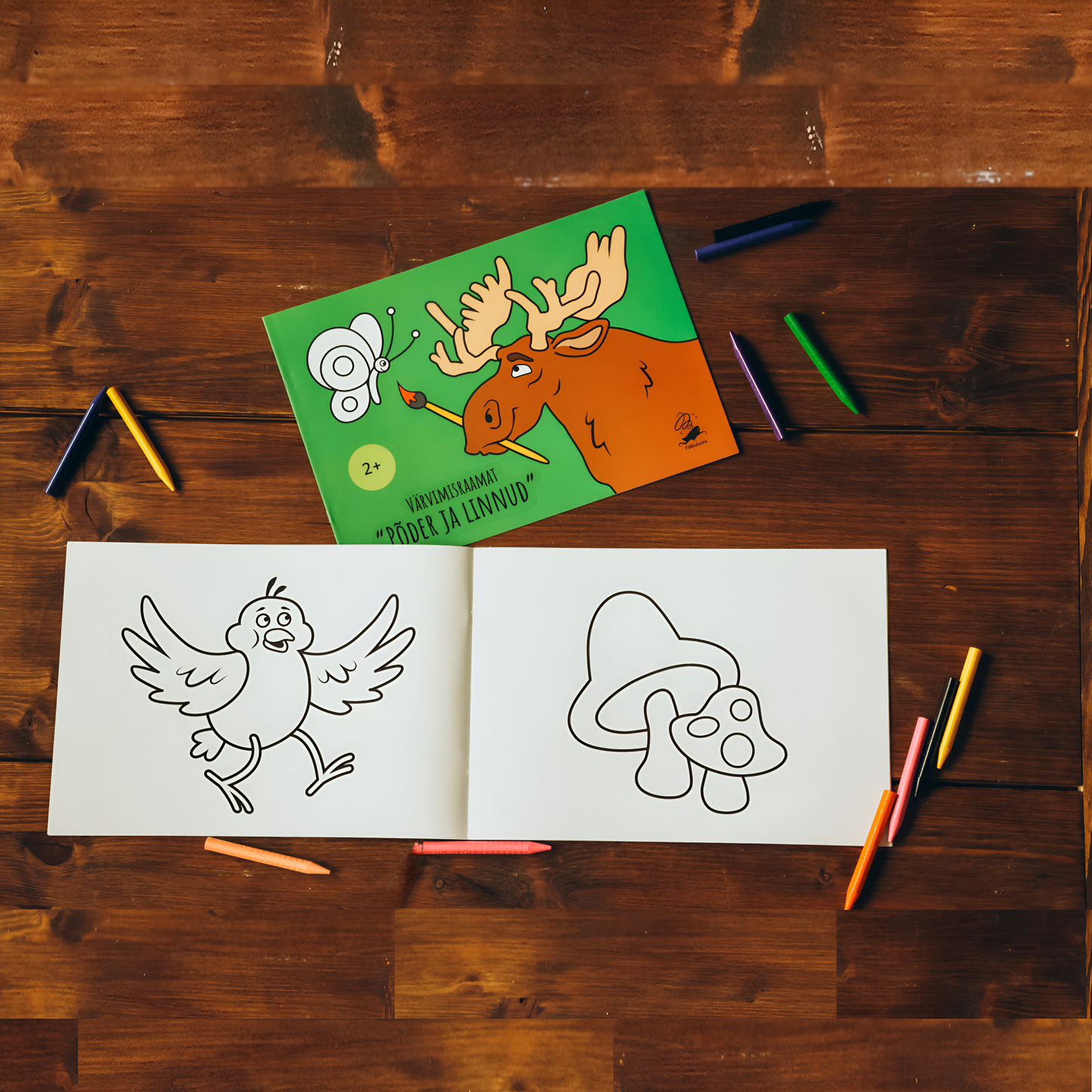Moose and the Birds Colouring Books
