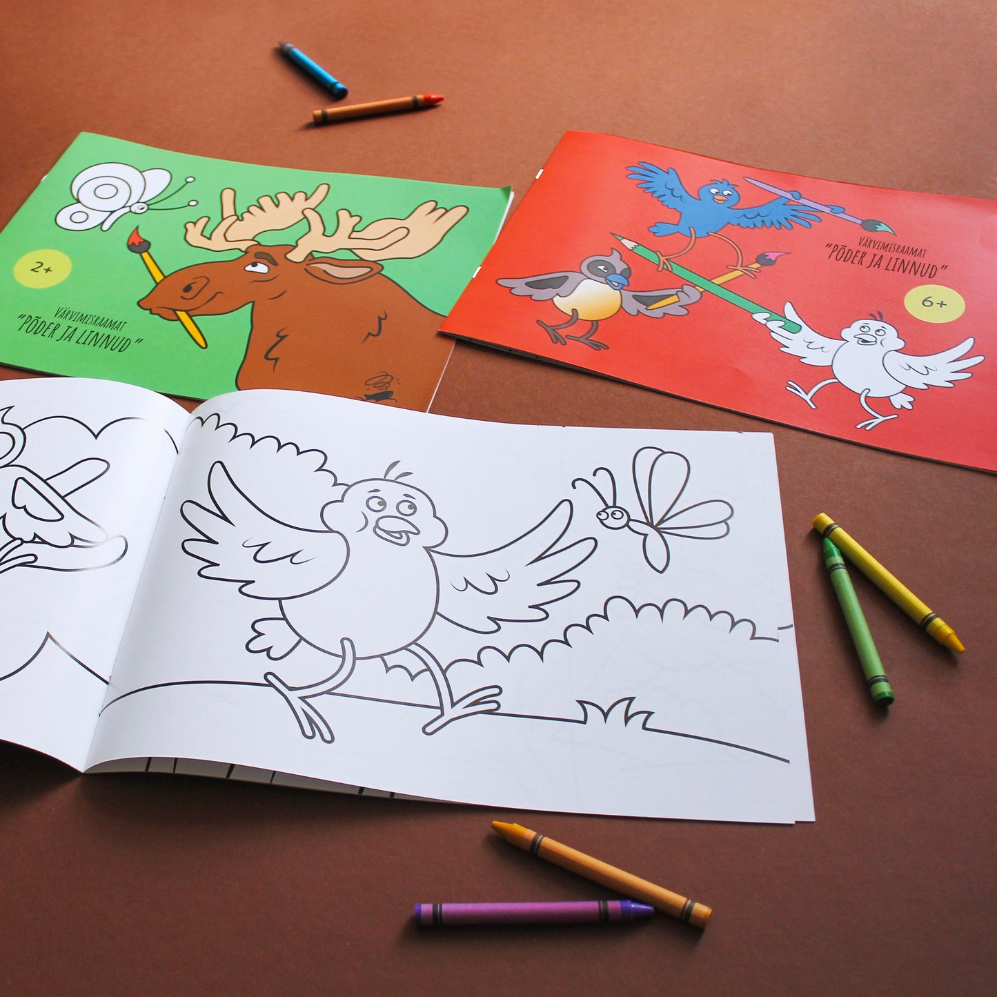 Moose and the Birds Colouring Books